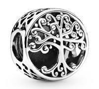 Pandora Charms Charm en plata de ley Raíces Familiares 797590