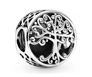 Pandora Charms CHARM EN PLATA DE LEY RAÍCES FAMILIARES 797590