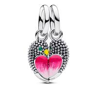 PANDORA Charm Moments 794484C01 pájaros separable