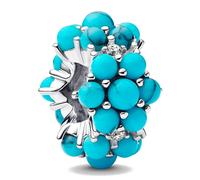 Pandora Charms Charm Océano 793897C02