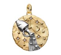 Pandora Charm Medallón Xl Zodiaco Acuario en Plata de Ley