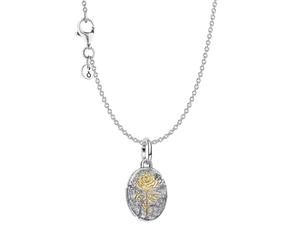 PANDORA Colgante Guardapelo Plata de Ley 925 21017