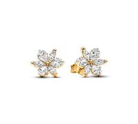 Pandora Funkelnde Herbarium Cluster Ohrringe 262633C01 Pendientes