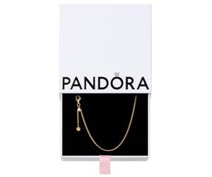 Pandora Icons Curb Chain Necklace & Pendants