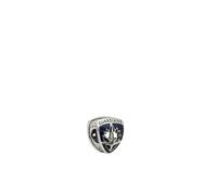 Pandora - Marvel Guardianes de la Galaxia Charm Emblema de Rocket Raccoon y Groot - Accessories - Mujer - Azul - ONE SIZE -