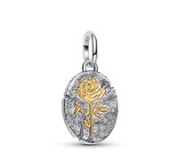 Pandora Medallón de plata rosa Pandora Talismán 764087C00