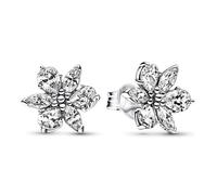 Pendientes Pandora Timeless 292633C01 herbario