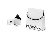 PANDORA Set de embalaje ecológico (Bolsa y caja plegable)