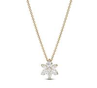 PANDORA Collar 362387C01-45 Herbario brillante