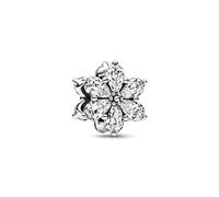 PANDORA Charm Timeless 792623C01 racimo herbario