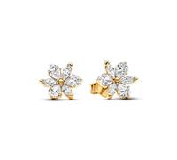 Pandora shine pendiente herbario