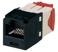 PANDUIT Accesorios PC y Portátiles Marca Modelo Module CAT5E UTP 8P8W TGSTYLE BL