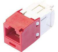 PANDUIT Accesorios PC y Portátiles Marca Modelo Module CAT6 UTP 8P8W Universal RD T