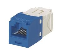 Panduit Copper Jack Module Blue RJ45 Azul - Adaptador para cable (RJ45, RJ45, Azul)