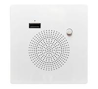 Panel de altavoces Bluetooth Panel de carga USB doméstico Audio montado en la pared Reproducción de memoria USB USB