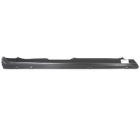 Panel De Reparación Derecho Compatible Con: MERCEDES E-CLASE W211 03.02-07.09