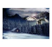 Panel de tela Bϊho/Medianoche - Impresiσn digital Call of The Wild - 27"""" x 44"""" - Tela de edredσn 100% algodσn