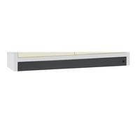 Panel del zócalo asecos, para armario para sustancias peligrosas de H x A x P 1955 x 1200 x 615 mm