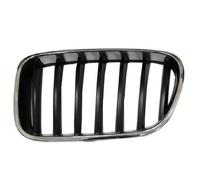Panel Izquierda para BMW x3 f25 2010 Al 2013 Cromo Negro 51117510725