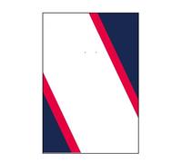 Panel Mural para Coches de Carrera F1 77242-77251, Marco Lego Technic Vitrina de acrílico,Marco de Arte de Carreras de Regalo de coleccionista (Modelo no Incluido)(Without USB LED Light)