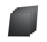 Panel solar rígido EcoFlow de 250 W (4 unidades)