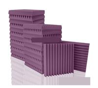 Paneles AcúSticos Para Paredes 6-24 Pack Studio Acoustic Foam Music Soundproof Sheet Noise Sound-Absorbing Room Isolation Door Wall Panel(Purple,2.5cm Thick,12 Pcs)