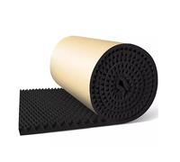 Paneles De Espuma Acústica Autoadhesivos De 20 Mm De Grosor For Aislamiento Acústico De Paredes, Ideales For Estudios De Grabación, Karaokes Y Cine En Casa. Diseño De Ondas 3D.(Schwarz)