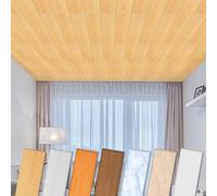 Paneles de techo HEXIM de XPS 100x16,7cm - revestimiento de techo moderno de plástico de poliestireno (2 metros cuadrados P-01) paneles de plástico habitación húmeda