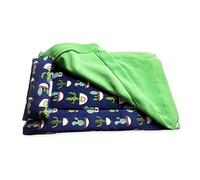 PANGBOER Cama de dragón barbudo con almohada y manta, cómoda cama cálida con funda de felpa para accesorios de tanque de dragón y barba de leopardo