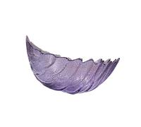 PANGBOER Cuenco decorativo de cristal para aperitivos, elegante cesta con plumas para caramelos, frutos secos y frutas, sala de estar, sala de regalo de inauguración de la casa, plato de aperitivos de