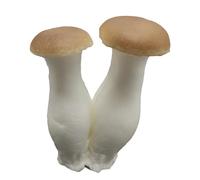 PANGBOER Decoración de hongos de imitación de poliuretano, adorno vegetal realista, adecuado para restaurantes y cafeterías, copia de hongos de poliuretano