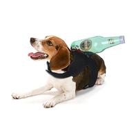 PANGBOER Disfraz divertido de Halloween para mascotas, disfraz de gatito, cosplay, ropa de asesinos para cachorros, gatitos, accesorios de fiesta, disfraces de Halloween para gatos