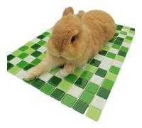 PANGBOER Nido de piedra para mascotas, roedores, jerbos, degus, diseño resistente a las mordidas, fácil de limpiar, refugio para mascotas pequeñas, casa de alivio del calor