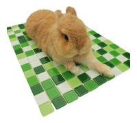 PANGBOER Nido de piedra para mascotas, roedores, jerbos, degus, diseño resistente a las mordidas, fácil de limpiar, refugio para mascotas pequeñas, casa de alivio del calor