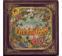 Panic at the Disco - Pretty Odd
