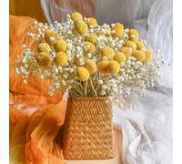 Paniculata Preservada,Flores Secas Decoracion,Flores Secas,Dlores Preservadas,Bodas, Fiestas, decoración de Estilo Granja y Boho en el hogar