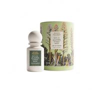 Panier des Sens Perfume Mujer Sándalo y Cacao Eau de Parfum 50 ml | Perfume amaderado y cálido: sándalo, cacao e inmortal. Envolvente e intenso, estela 4-6 h, creado en Grasse