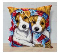 PANNA Embroidery Kits Kit de Punto de Cruz, Multicolor, 40 x 40 cm