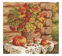 PANNA Kit de Punto de Cruz, Multicolor, 35x31cm