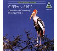 Pannke Peter - Opera of Birds (Pannke)