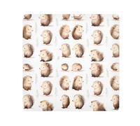 Paño autoadhesivo mágico para cámara de erizo, para lente de cámara, protector de lentes, bolsa de maquillaje, 13.8 x 13.8 pulgadas, multicolor, 21.7x21.7in, moderno