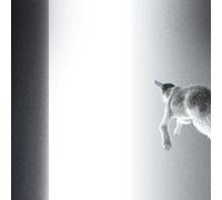 Panoram Keep Looking Where the Light Comes From (Vinyl) (Importación USA)