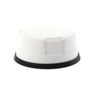 Panorama Antennas Antena vehicular 4x4 MiMo 4G/5G + GPS/GNSS, Blanca, IP69K