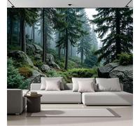 Panorámica De Pared Papel Pintado Bosque Nórdico Brumoso, Papel Tapiz Fotográfico Estilo De Fotografía De National Geographic, Verde Esmeralda Murales Para Sala De Estar Dormitorio Decor 250x175cm