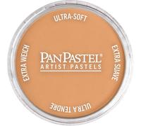 PanPastel Colorfin Ultra Soft Metallic Artist Pastel 9Ml-Bronze