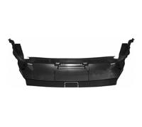 Pantalla aire rejilla delantera bmw serie 4 F32 F33 de 2013 en adelante msport