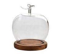 Pantalla De Cúpula De Vidrio - Decoración De Mesa Con Forma De Fruta, Cúpula De Joyería A Prueba De Polvo | Cloche Transparente Con Base De Madera, Tarro Protector Para Escaparate, Para Tienda En Casa
