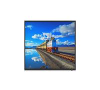 Pantalla de Ordenador - Monitor PC Dahua 1.0.99.12.10346-9001 Full HD