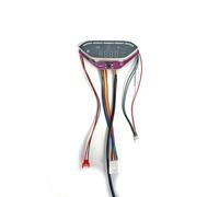Pantalla Display LCD para Patinete eléctrico SmartGyro Z-One SG27-392 Repuesto Monitor Control con Cable - F10mobility
