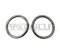Pantalla Faro Antiniebla Prasco RN3291240 para Renault